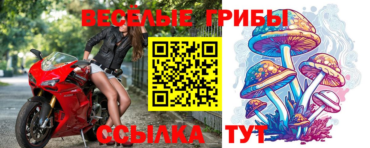 Галлюциногенные грибы Cubensis  закладка  Котовск  Вход с VPN 